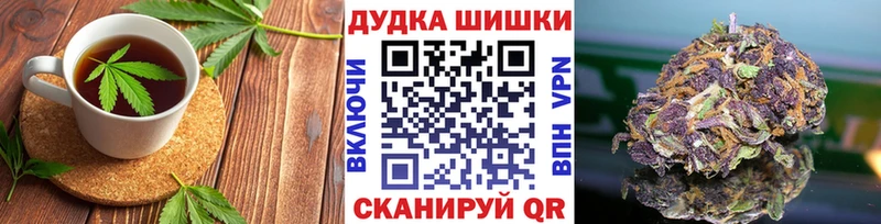 Купить  Азнакаево  Canna-Cookies конопля 