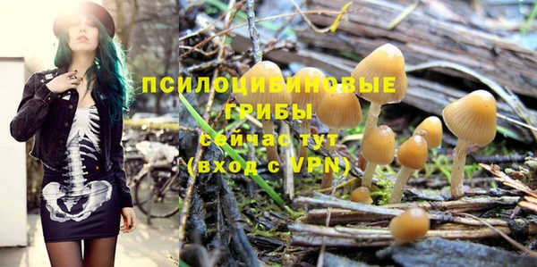 МДПВ Горняк