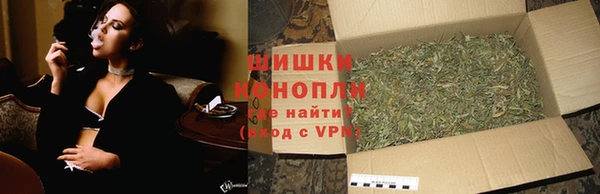 мдпв Горнозаводск