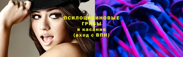 мдпв Горнозаводск