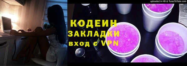мдпв Горнозаводск