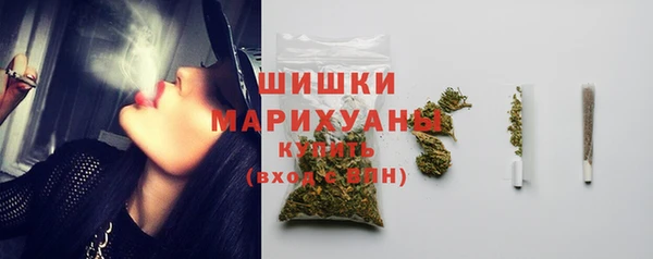 мдпв Горнозаводск