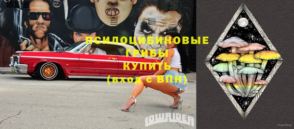 МДПВ Горняк