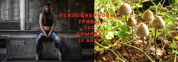мдпв Горнозаводск