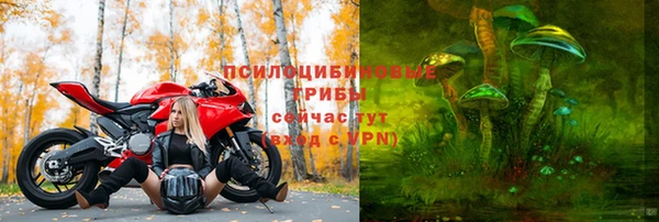 МДПВ Горняк
