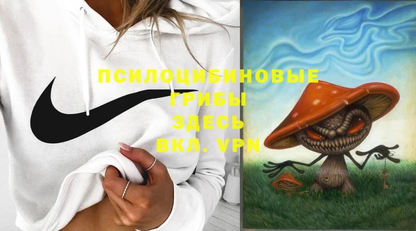 МДПВ Горняк