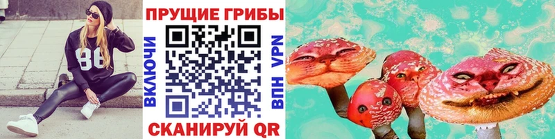 Псилоцибиновые грибы Cubensis  Купить закладки  Азнакаево 